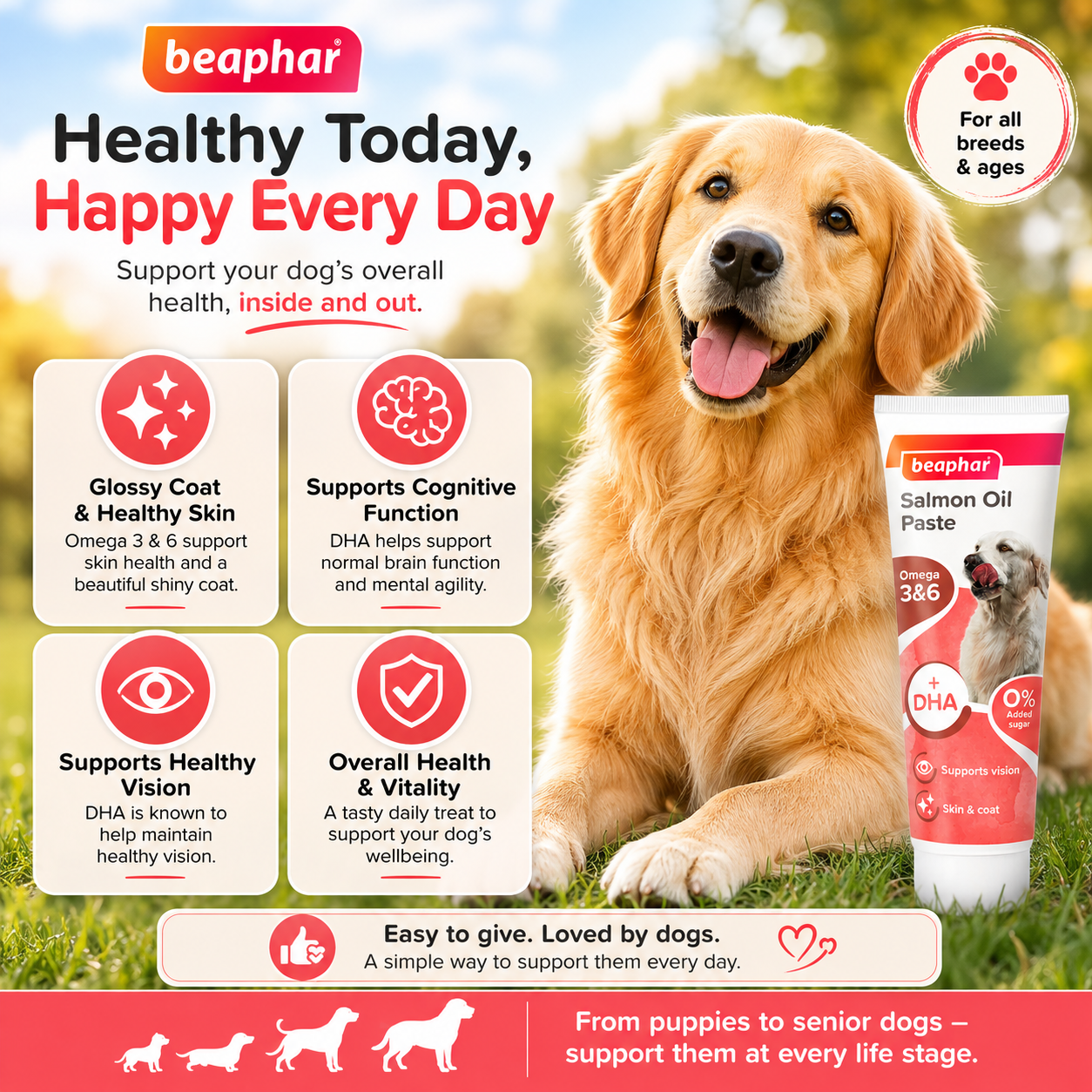 Beaphar Salmon Oil Paste 100g BB 12/26