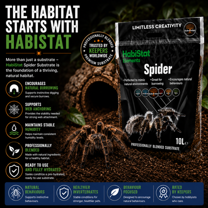 HabiStat 10L Natural Reptile Substrate Spider & Leopard Gecko Bedding