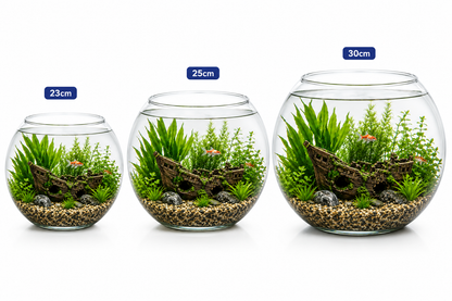 Glass Fish Bowls 23 & 30 - Versatile Decorative Pieces