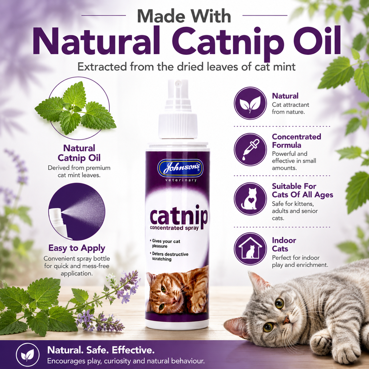 Johnsons Catnip Spray for Cats Natural Cat Mint Oil Toy Scratching Post