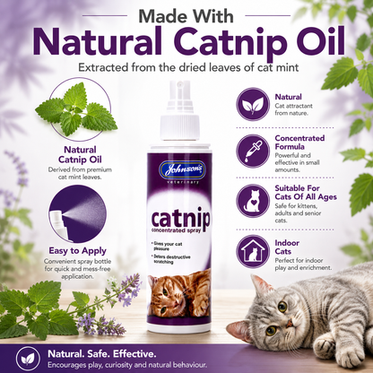 Johnsons Catnip Spray for Cats Natural Cat Mint Oil Toy Scratching Post