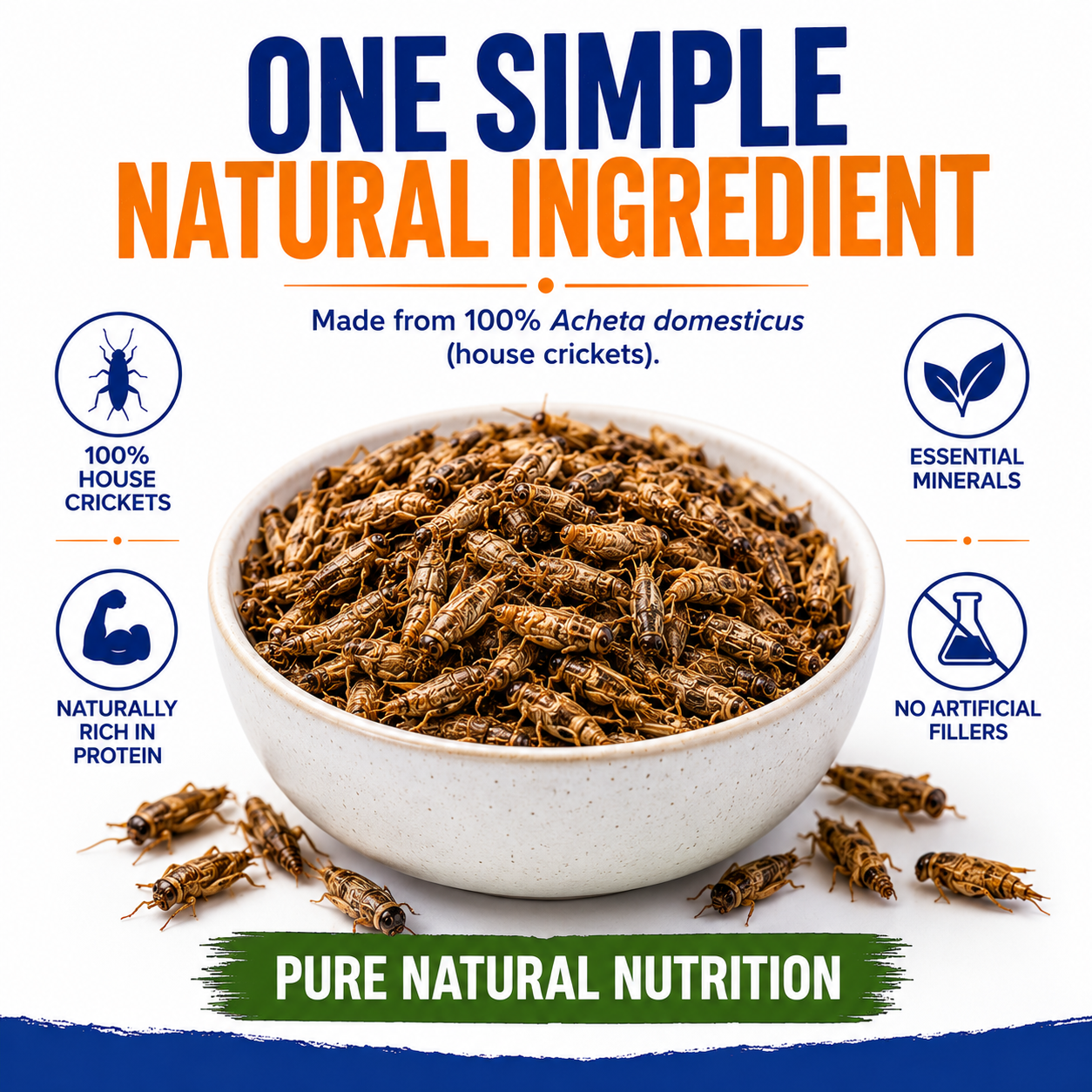 Aquacadabra Natural Dried Crickets Gourmet Reptile Turtle Food 40g 160g