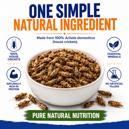 Aquacadabra Natural Dried Crickets Gourmet Reptile Turtle Food 40g 160g