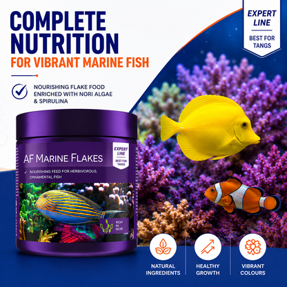 Aquaforest Marine Mix Flake Food | Premium Fish Diet | 25g, 120g (Small/Medium)