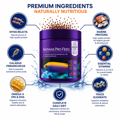 Aquaforest Anthias Fish Food Mysis 120g