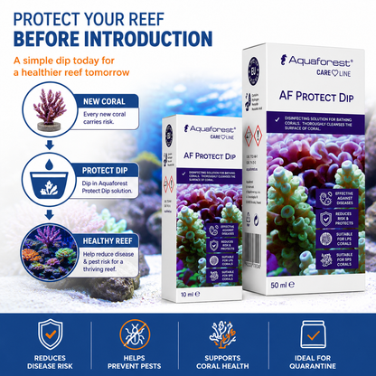 Aquaforest Protect Dip Marine Aquarium Coral Pest & Disease Treatment 10ml 50ml