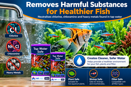 NT Labs Tap Water Safe Dechlorinator Aquarium Water Conditioner 100ml 250ml
