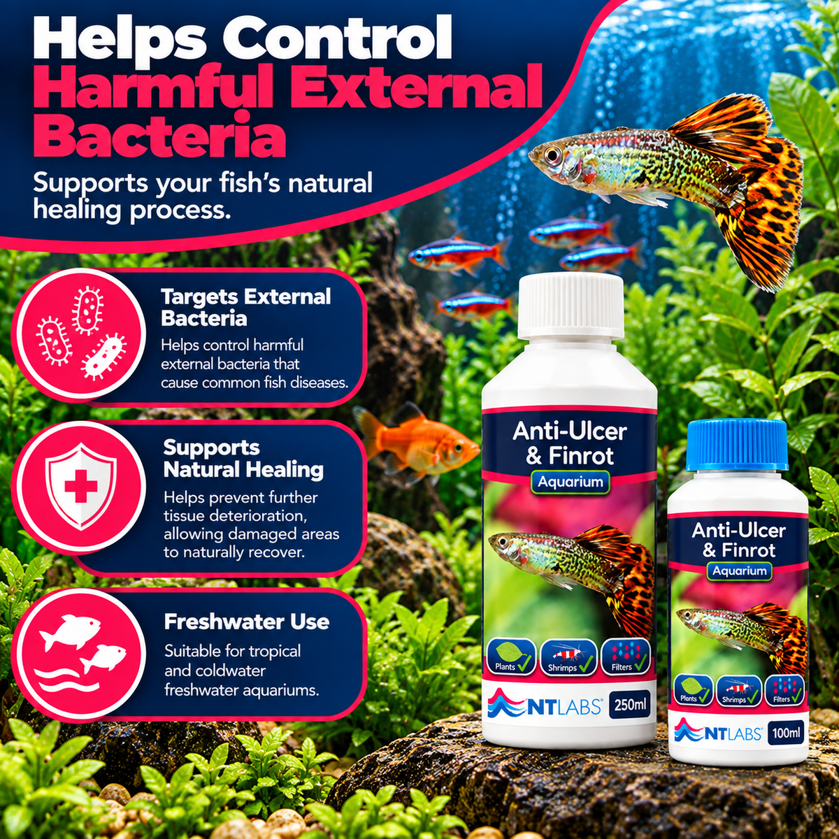 NT Labs Anti-Ulcer & Finrot Fish Treatment Bacterial Aquarium 100ml 250ml