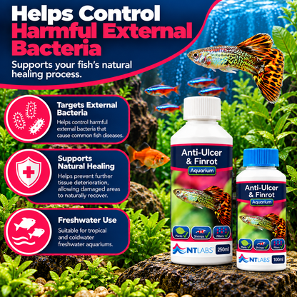 NT Labs Anti-Ulcer & Finrot Fish Treatment Bacterial Aquarium 100ml 250ml