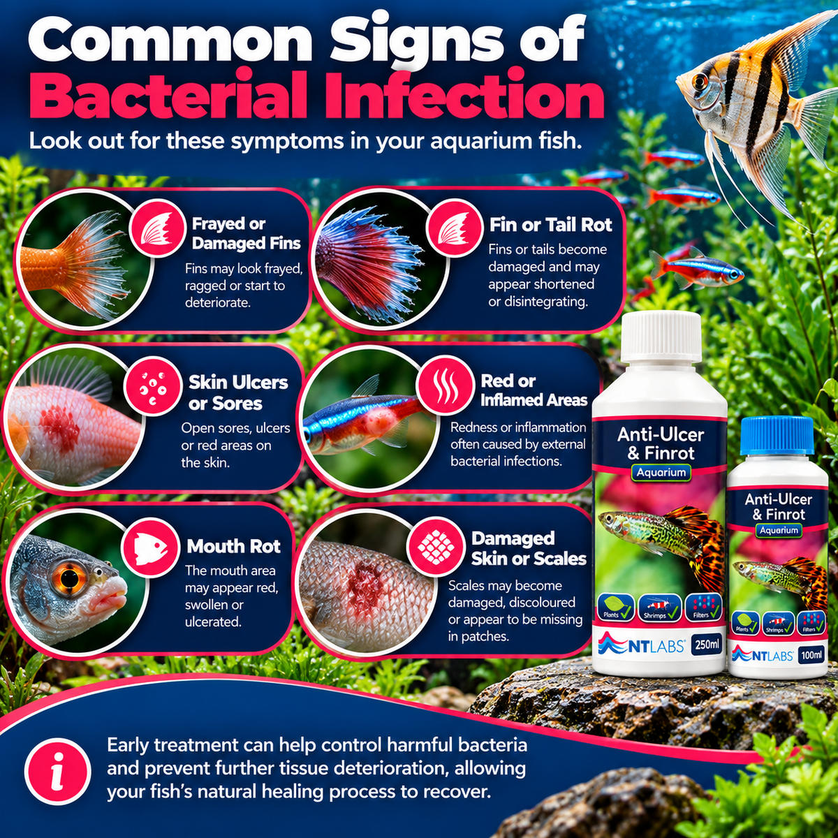 NT Labs Anti-Ulcer & Finrot Fish Treatment Bacterial Aquarium 100ml 250ml