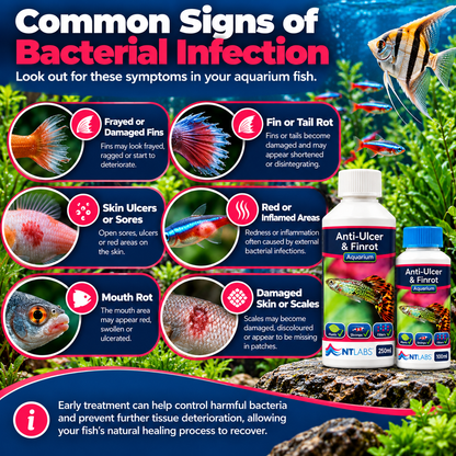 NT Labs Anti-Ulcer & Finrot Fish Treatment Bacterial Aquarium 100ml 250ml
