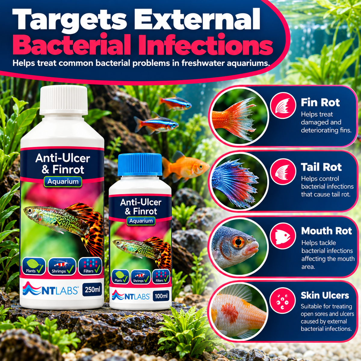 NT Labs Anti-Ulcer & Finrot Fish Treatment Bacterial Aquarium 100ml 250ml