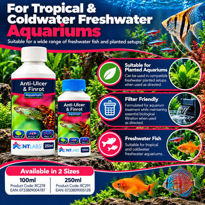 NT Labs Anti-Ulcer & Finrot Fish Treatment Bacterial Aquarium 100ml 250ml