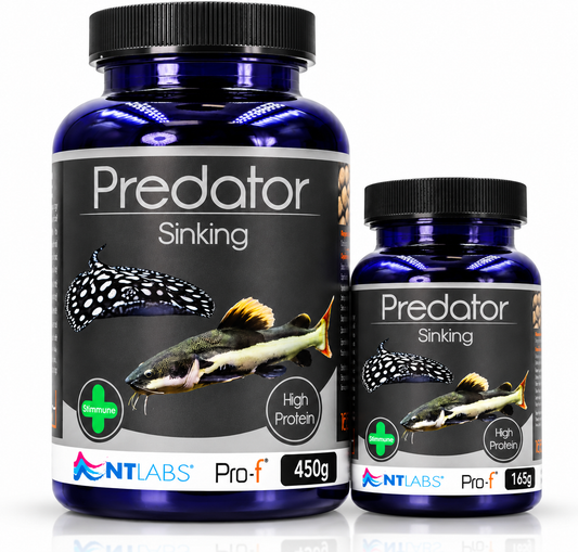 NT Labs Pro-F Predator Sinking Fish Food Catfish Cichlid Rays 165g 450g