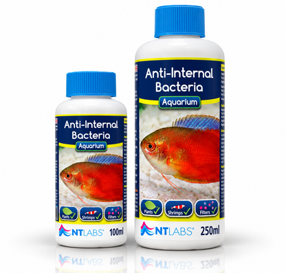 NT Labs Anti-Internal Bacteria Fish Treatment Dropsy Pop Eye 100ml 250ml