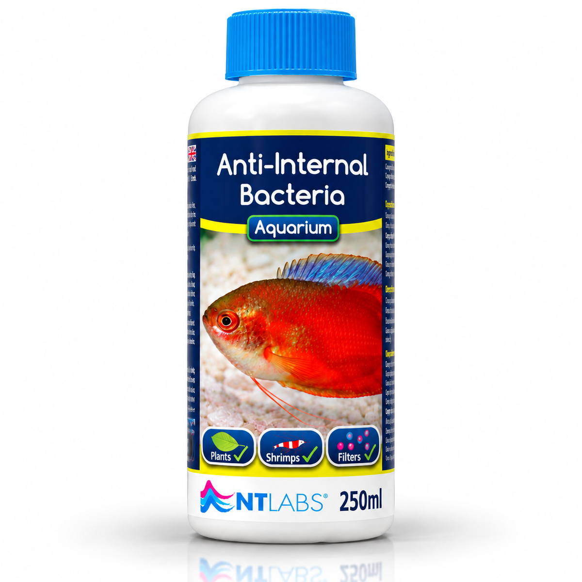 NT Labs Anti-Internal Bacteria Fish Treatment Dropsy Pop Eye 100ml 250ml