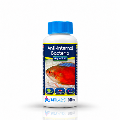 NT Labs Anti-Internal Bacteria Fish Treatment Dropsy Pop Eye 100ml 250ml