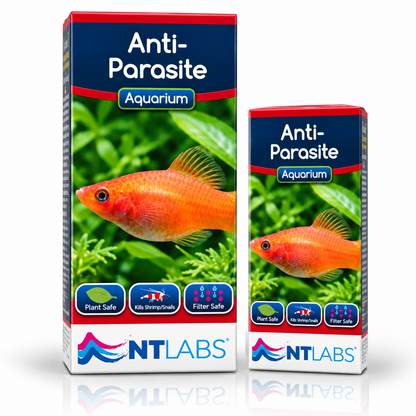 NT Labs Anti-Parasite Fish Treatment White Spot Aquarium 100ml 250ml