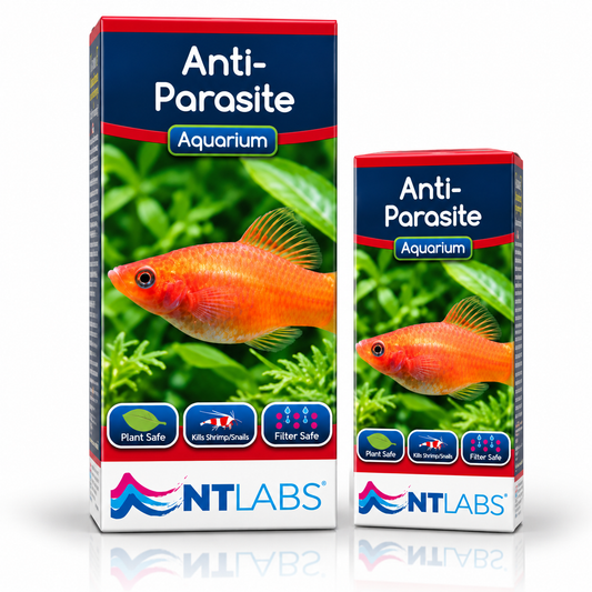 NT Labs Anti-Parasite Fish Treatment White Spot Aquarium 100ml 250ml