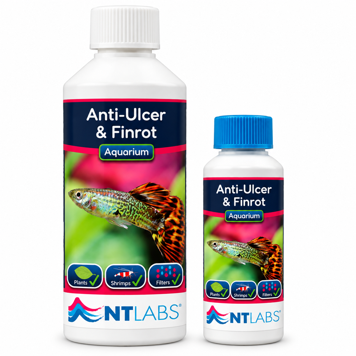 NT Labs Anti-Ulcer & Finrot Fish Treatment Bacterial Aquarium 100ml 250ml