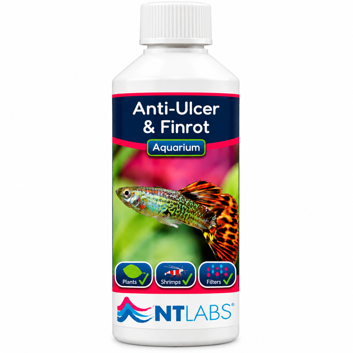 NT Labs Anti-Ulcer & Finrot Fish Treatment Bacterial Aquarium 100ml 250ml