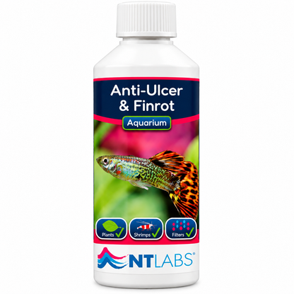 NT Labs Anti-Ulcer & Finrot Fish Treatment Bacterial Aquarium 100ml 250ml