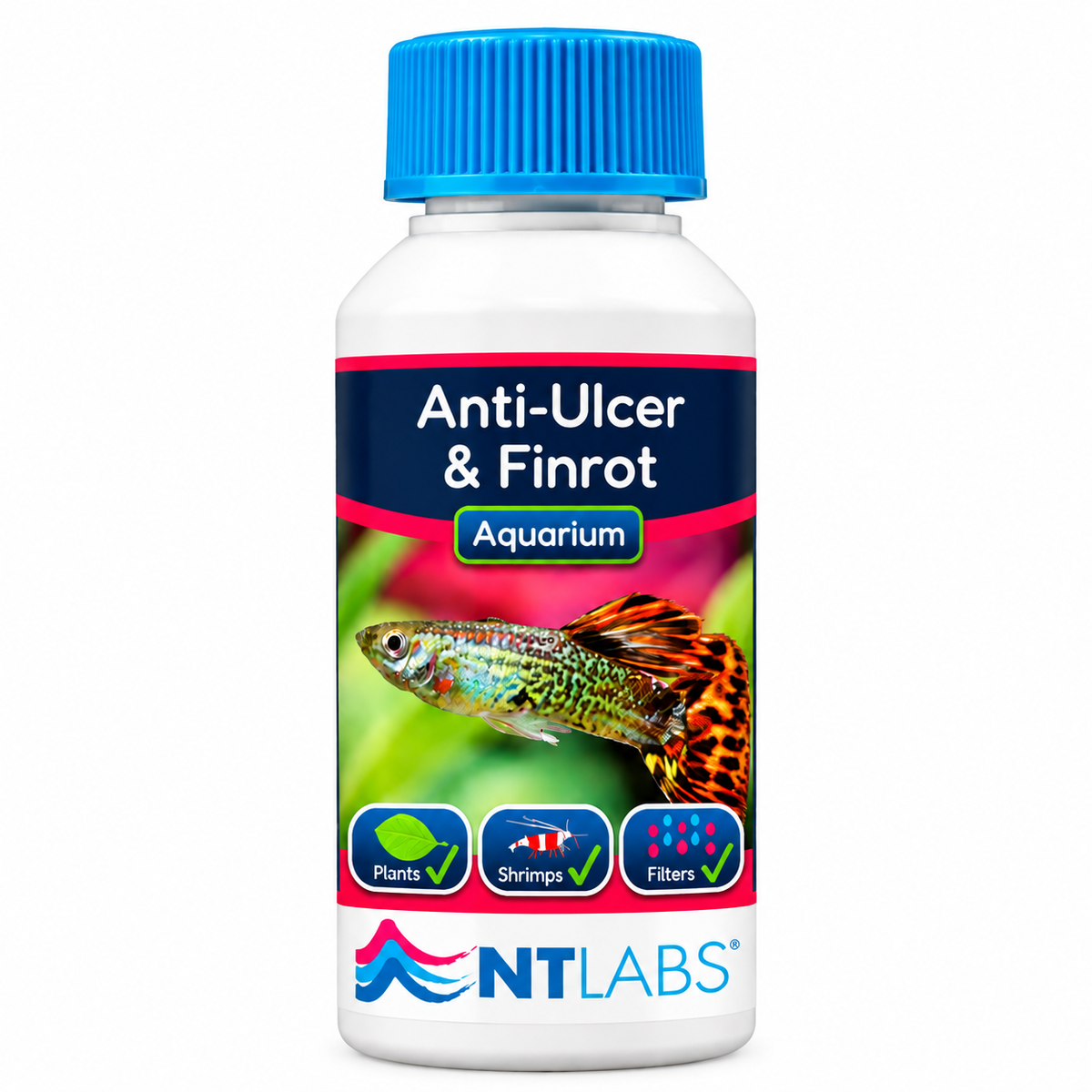 NT Labs Anti-Ulcer & Finrot Fish Treatment Bacterial Aquarium 100ml 250ml