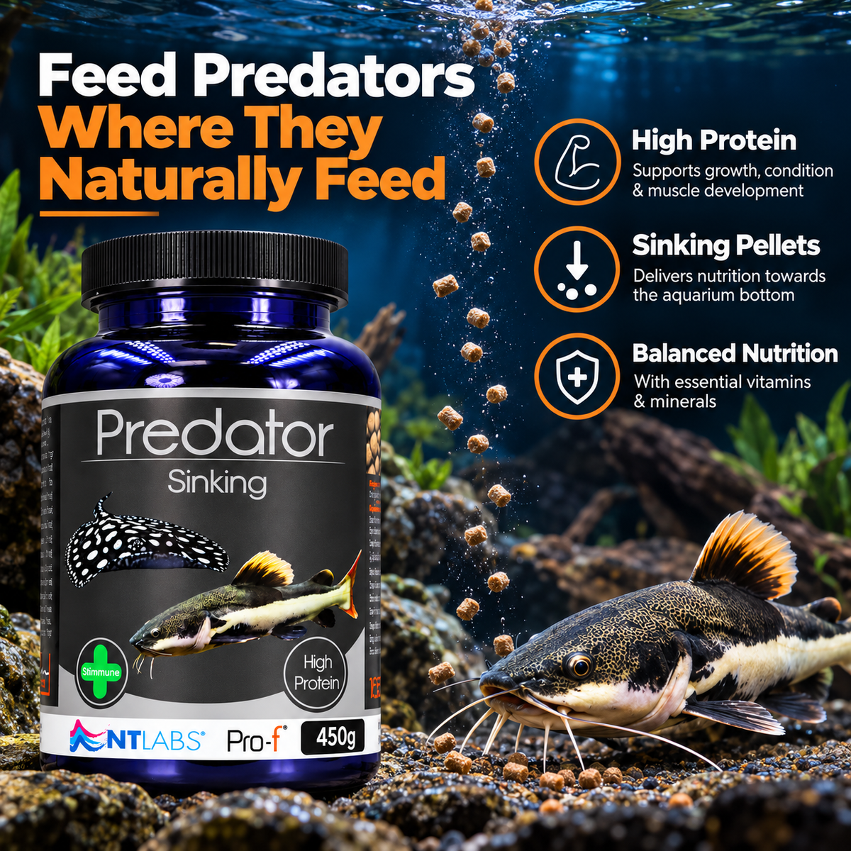 NT Labs Pro-F Predator Sinking Fish Food Catfish Cichlid Rays 165g 450g