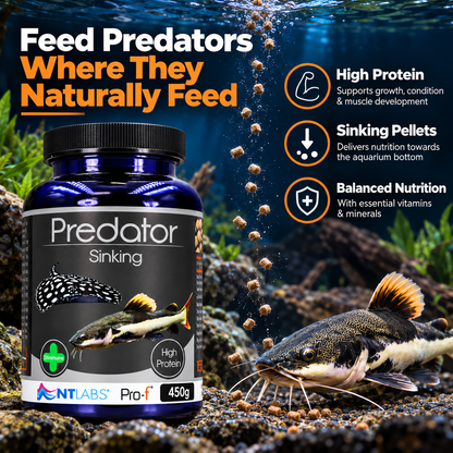 NT Labs Pro-F Predator Sinking Fish Food Catfish Cichlid Rays 165g 450g