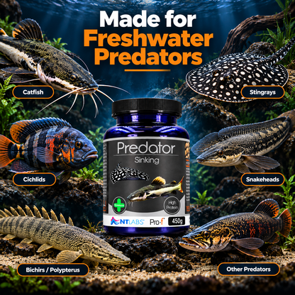 NT Labs Pro-F Predator Sinking Fish Food Catfish Cichlid Rays 165g 450g