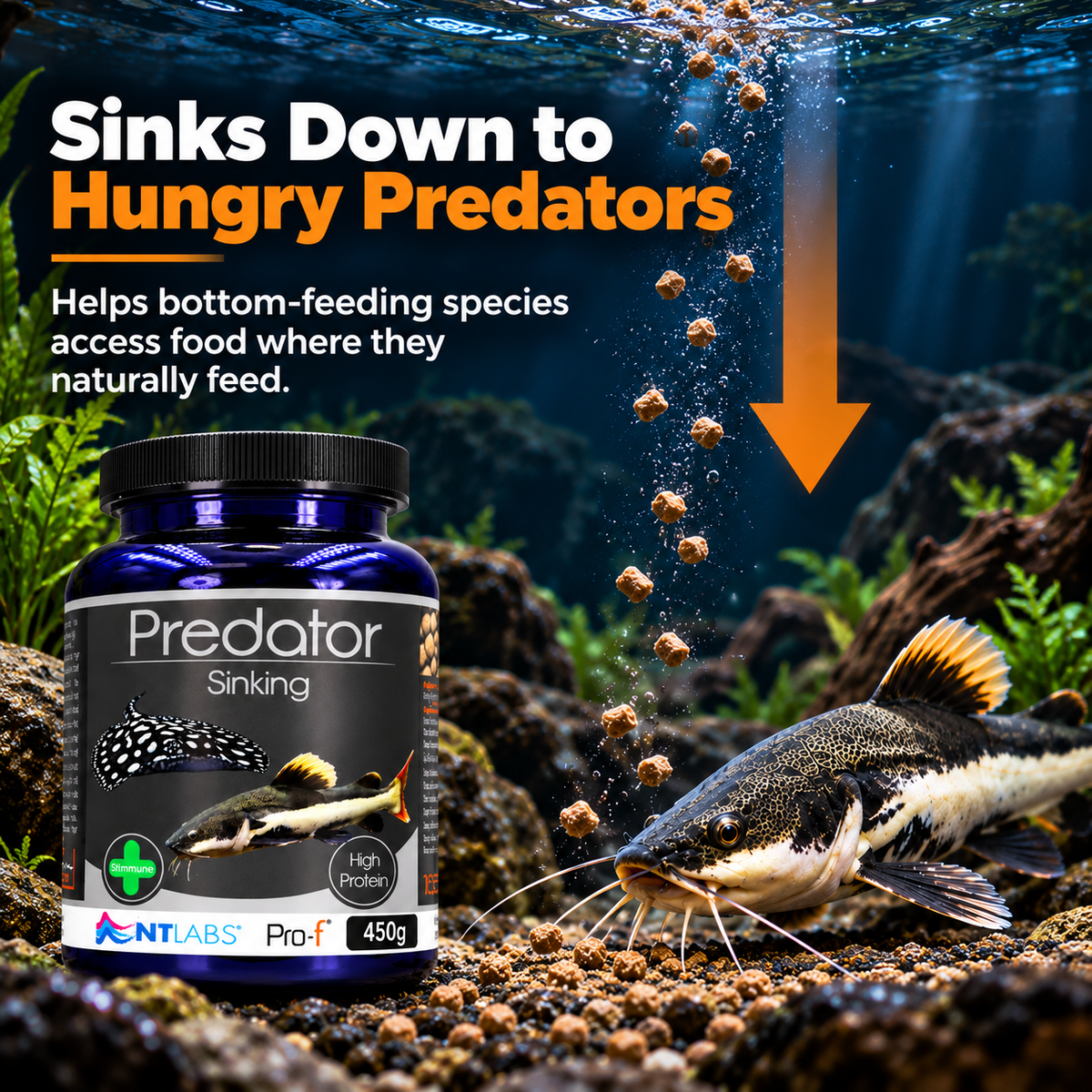 NT Labs Pro-F Predator Sinking Fish Food Catfish Cichlid Rays 165g 450g
