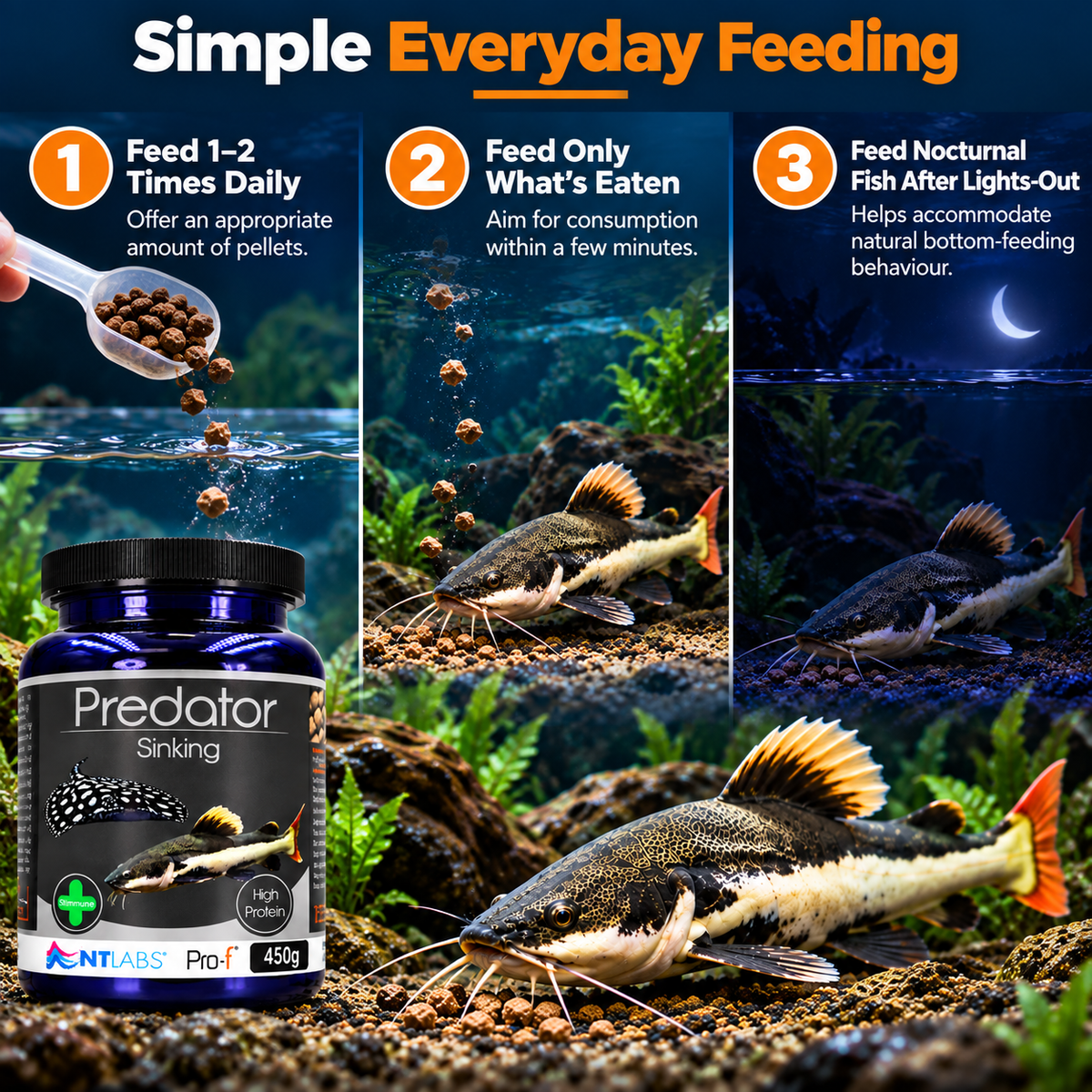 NT Labs Pro-F Predator Sinking Fish Food Catfish Cichlid Rays 165g 450g