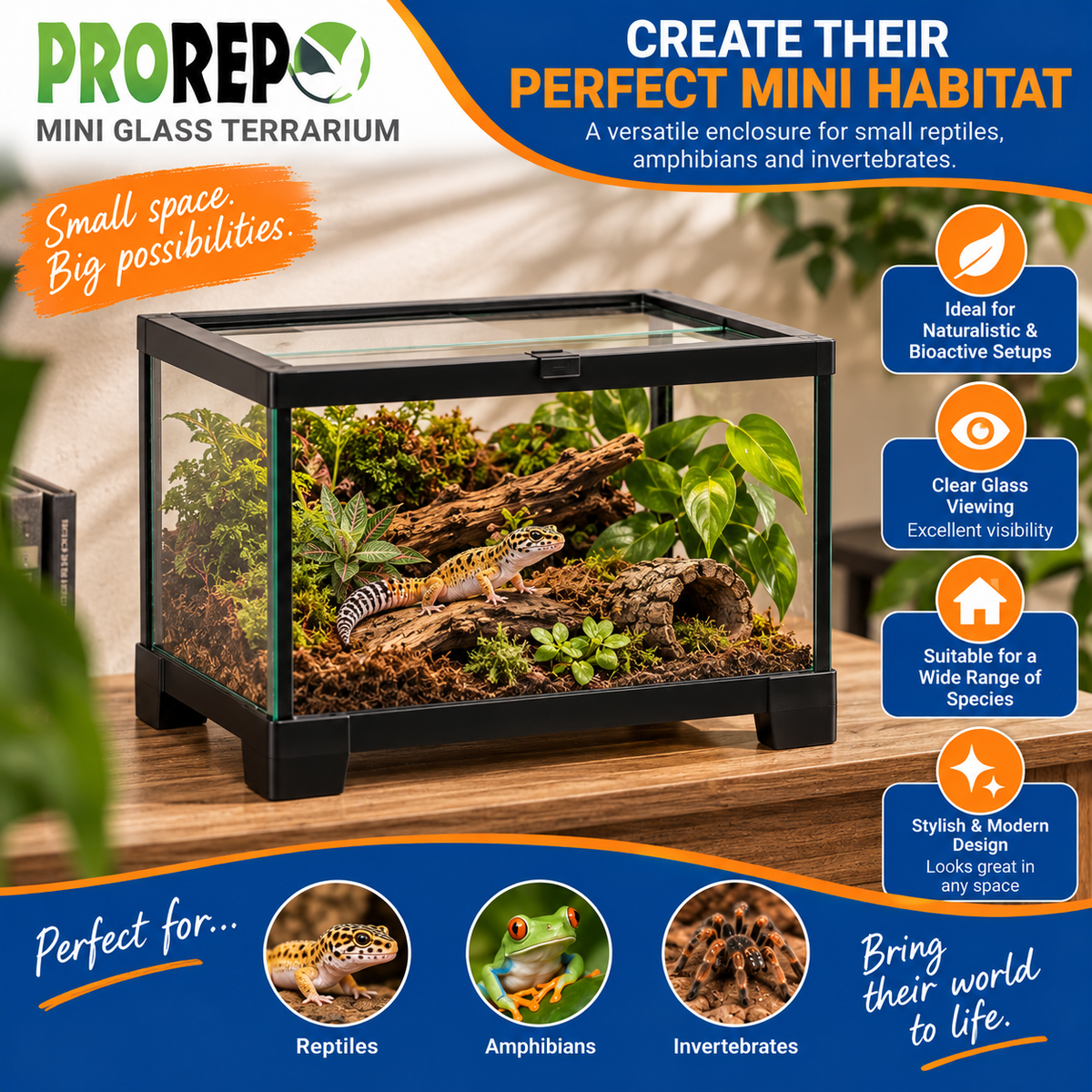 ProRep Mini Terrariums, Glass Reptile & Invert Housing