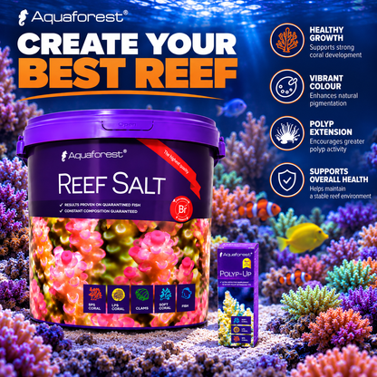 Aquaforest Reef Salt Marine Coral Aquarium + FREE Socks & Polyp-Up 50ml