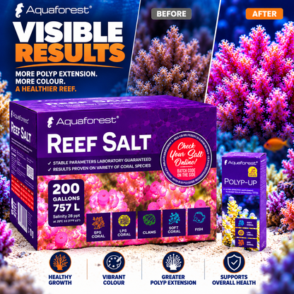 Aquaforest Reef Salt Marine Coral Aquarium + FREE Socks & Polyp-Up 50ml