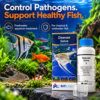NT Labs Aquarium Disease Solve 100ml Fish Treatment Tropical Coldwater 500L