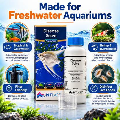 NT Labs Aquarium Disease Solve 100ml Fish Treatment Tropical Coldwater 500L