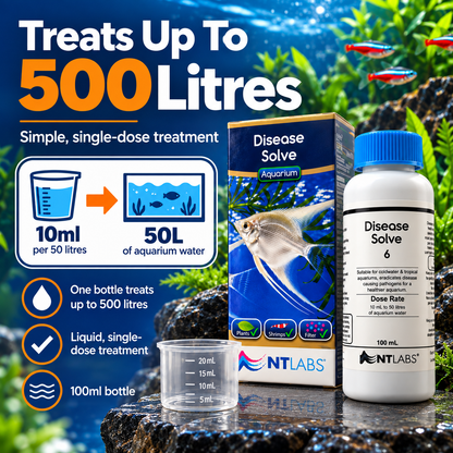NT Labs Aquarium Disease Solve 100ml Fish Treatment Tropical Coldwater 500L