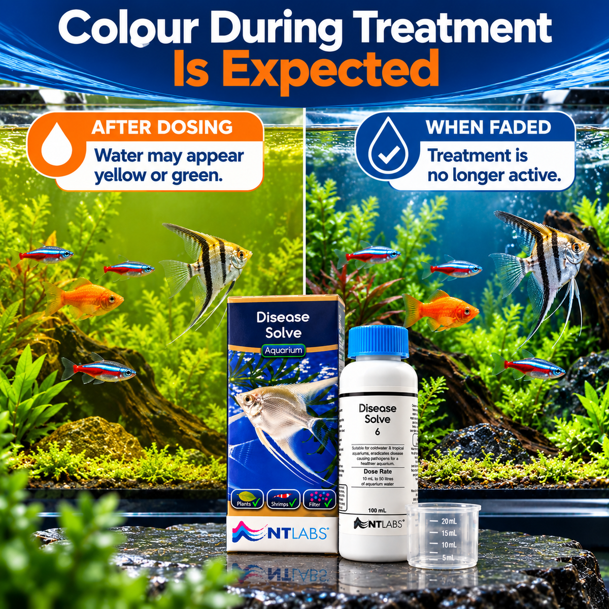 NT Labs Aquarium Disease Solve 100ml Fish Treatment Tropical Coldwater 500L