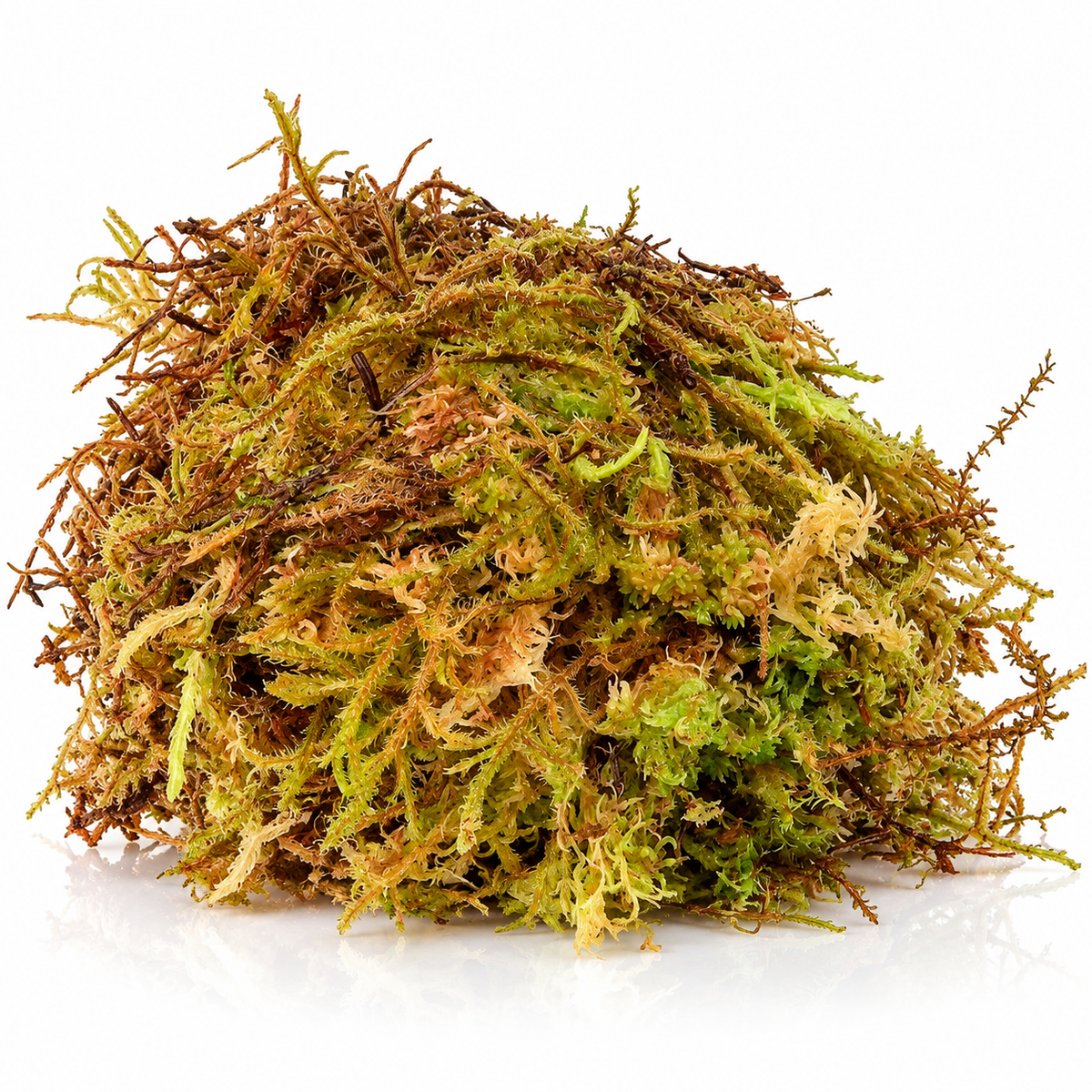 HabiStat Sphagnum Moss 1kg Natural Reptile Humidity, Hides & Egg Laying