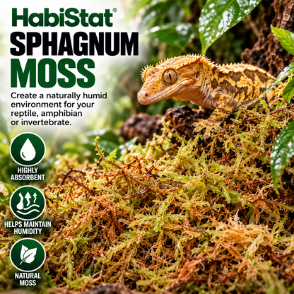 HabiStat Sphagnum Moss 1kg Natural Reptile Humidity, Hides & Egg Laying