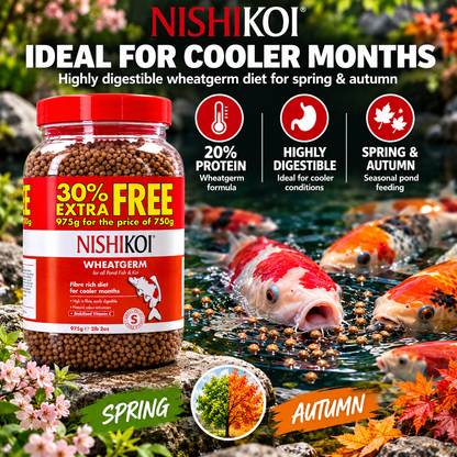Nishikoi Wheatgerm 750g Small Pellet 30% Extra Free