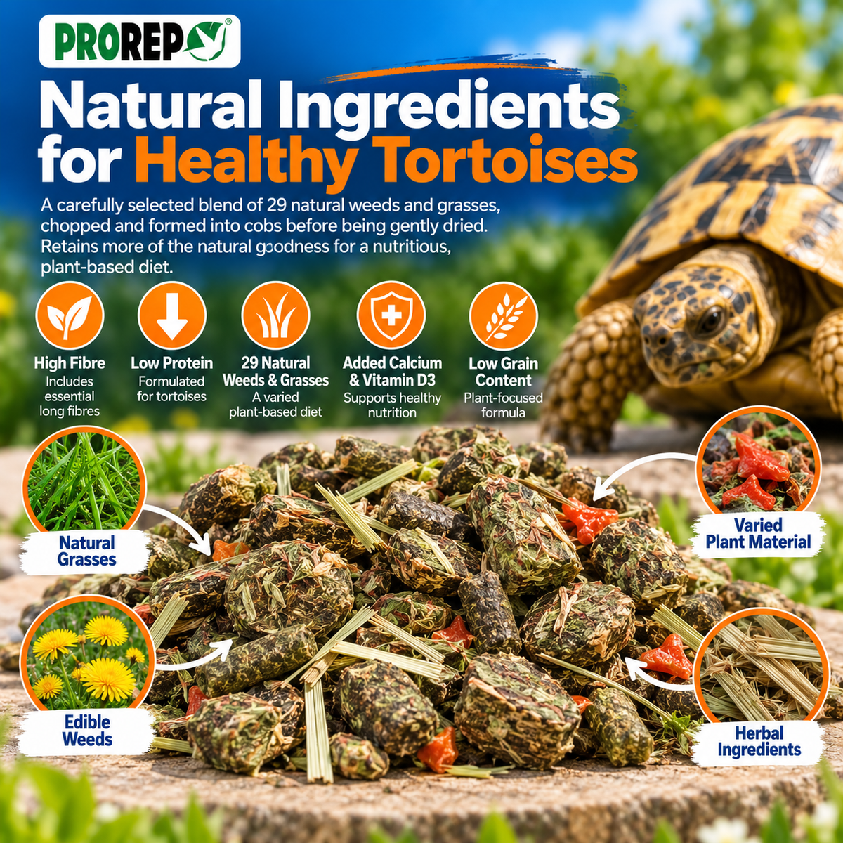 ProRep Tortoise Food High Fibre Low Protein Weeds & Grasses 250g 500g 1kg