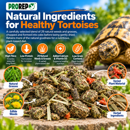 ProRep Tortoise Food High Fibre Low Protein Weeds & Grasses 250g 500g 1kg