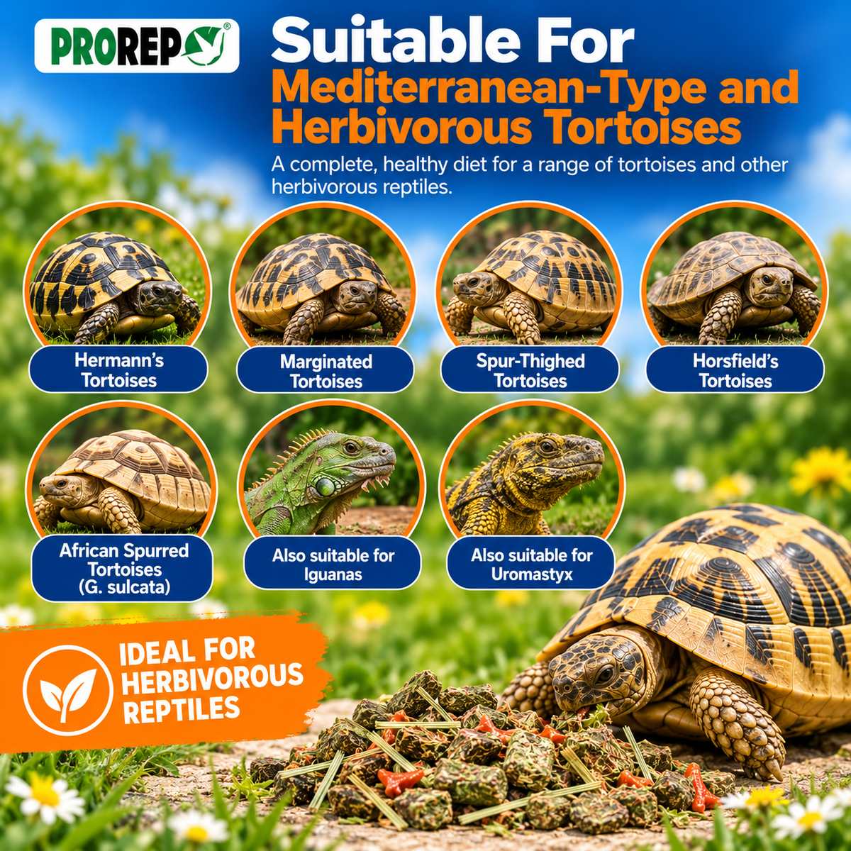 ProRep Tortoise Food High Fibre Low Protein Weeds & Grasses 250g 500g 1kg