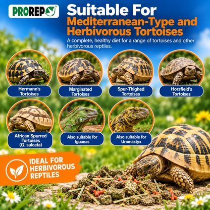 ProRep Tortoise Food High Fibre Low Protein Weeds & Grasses 250g 500g 1kg