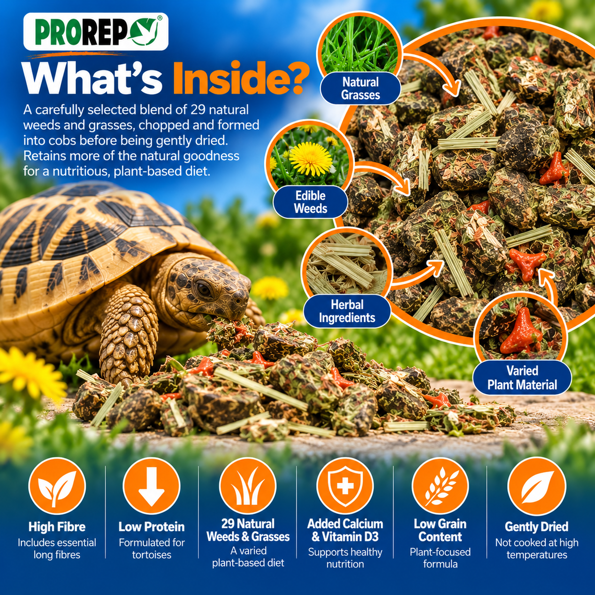 ProRep Tortoise Food High Fibre Low Protein Weeds & Grasses 250g 500g 1kg