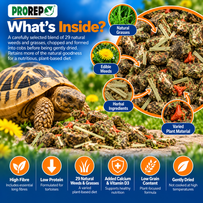 ProRep Tortoise Food High Fibre Low Protein Weeds & Grasses 250g 500g 1kg