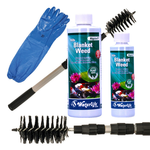 Blanketweed Bundle: Brush, Gloves & Algizin P