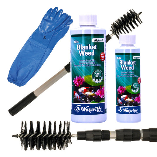 Blanketweed Bundle: Brush, Gloves & Algizin P